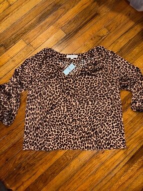 LOFT Leopard Print V-Neck Blouse in Pink and Brown